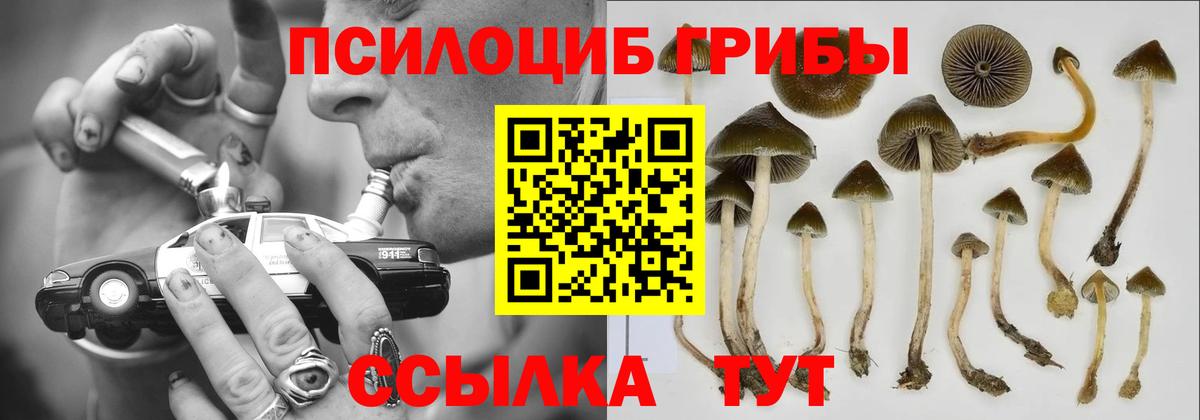 Бор  Галлюциногенные грибы MAGIC MUSHROOMS  Вход с VPN 
